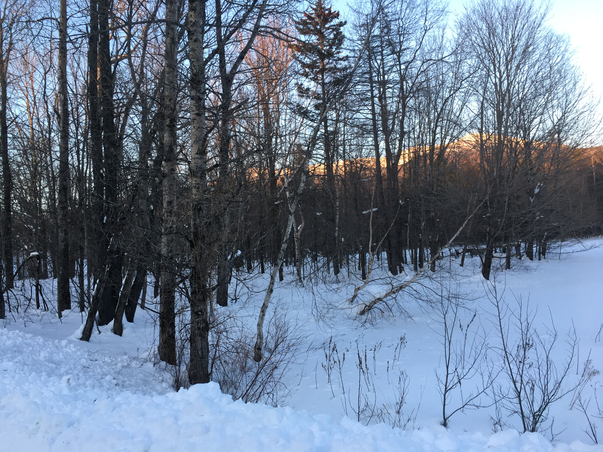 Vermont winter